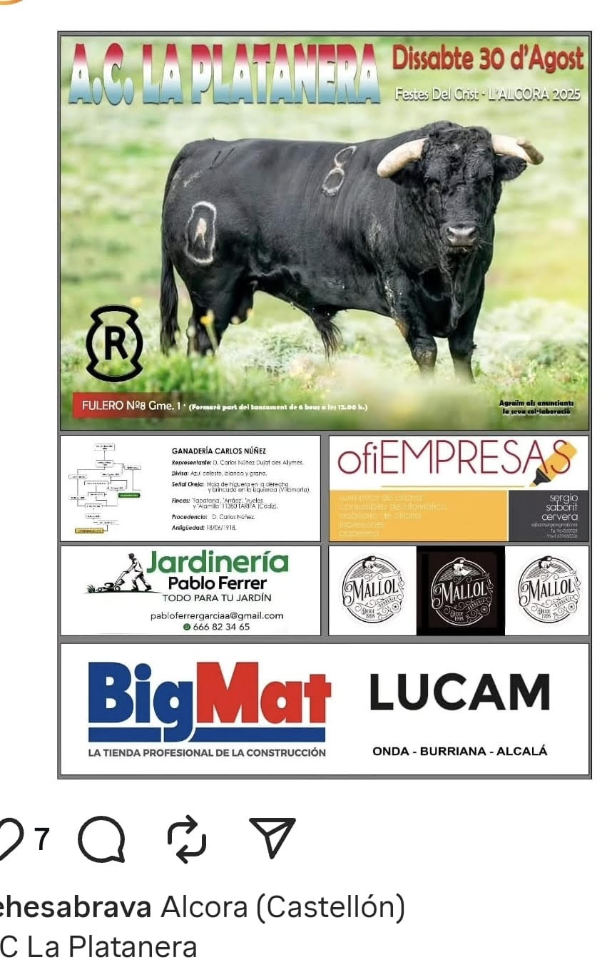"TOROS ALCORA 30 AGOSTO 2025"