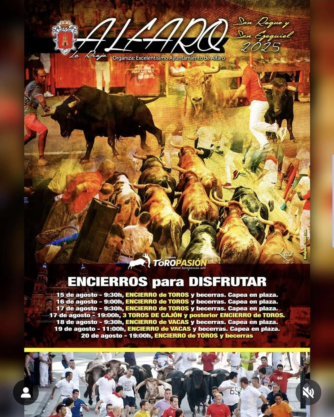 TOROS ALFARO DEL 17 AL 20 DE AGOSTO 2025