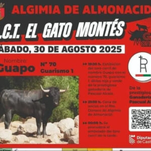 TOROS ALGIMIA DE ALMONACID 30 AGOSTO 2025