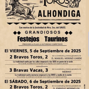 TOROS ALHONDIGA 5 Y 6 SEPTIEMBRE 2025
