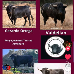 TOROS ALMENERA 3 DE OCTUBRE 2025