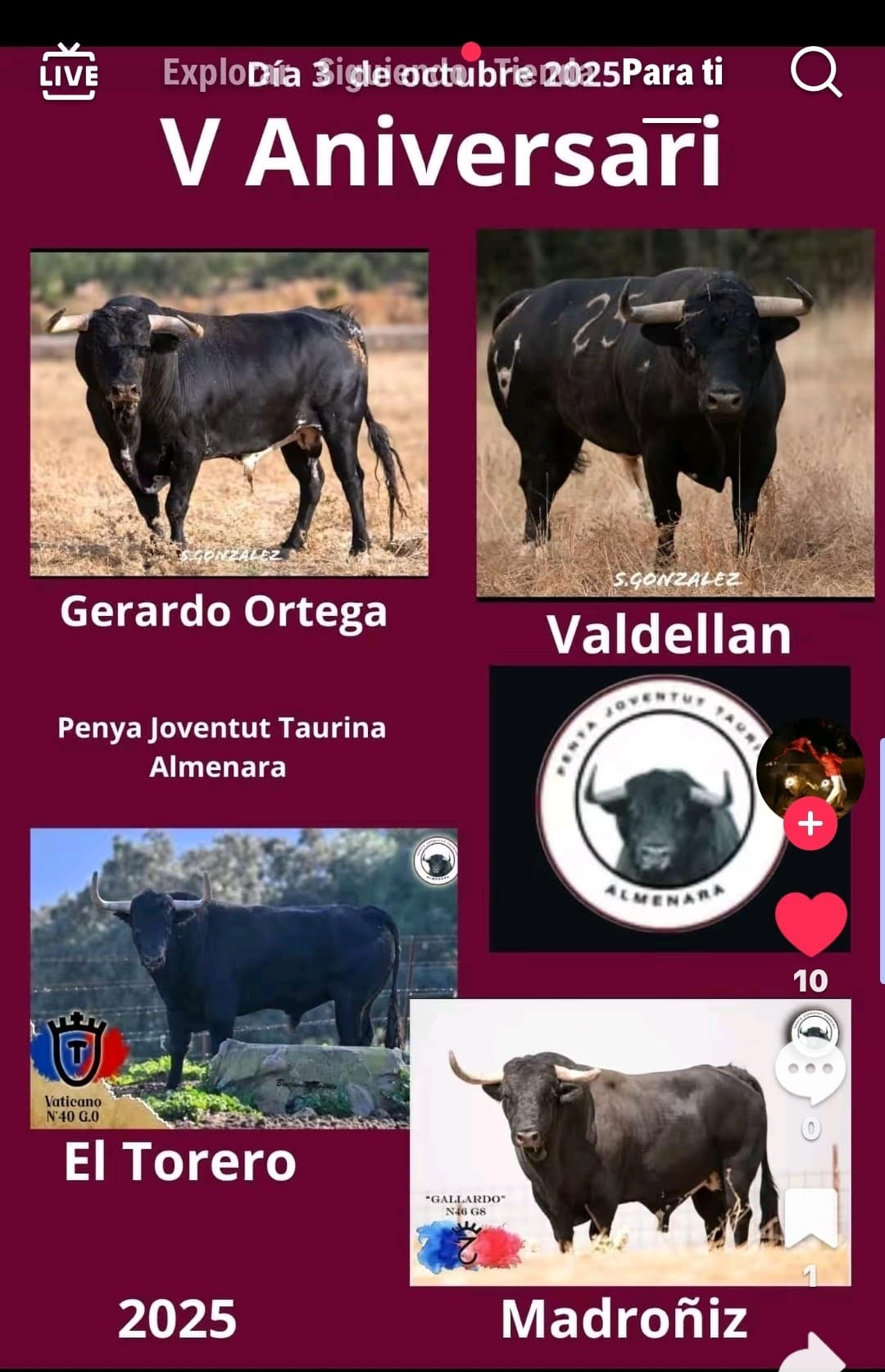 TOROS ALMENERA 3 DE OCTUBRE 2025
