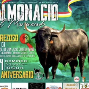 TOROS ALMONACID 24 AGOSTO 2025