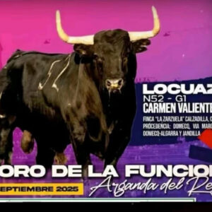 "TOROS ARGANDA DEL REY 6 DE SEPTIEMBRE 2025"