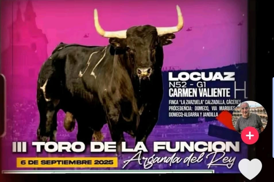 "TOROS ARGANDA DEL REY 6 DE SEPTIEMBRE 2025"
