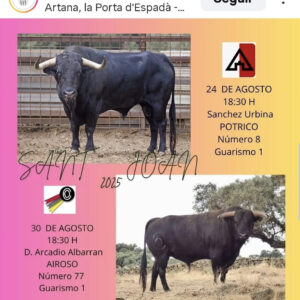 TOROS ARTANA 24 AGOSTO 2025