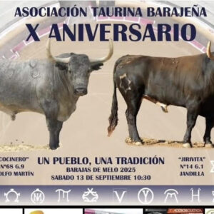 TOROS BARAJENA 13 SEPTIEMBRE 2025