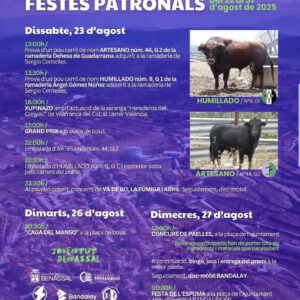 TOROS BENASSAL DEL 22 AL 31 DE AGOSTO 2025
