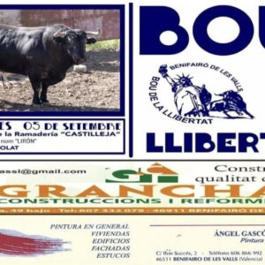 TOROS BENIFAIRO DE LES VALLS 5 SEPTIEMBRE 2025