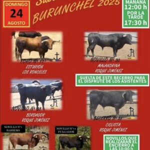 TOROS BURUNCHEL 24 AGOSTO 2025