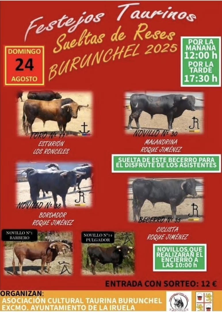TOROS BURUNCHEL 24 AGOSTO 2025