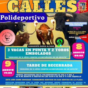 TOROS CALLES 8 Y 9 DE AGOSTO 2025