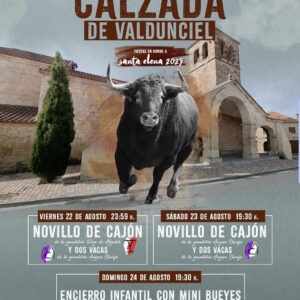 TOROS CALZADA DE VALDUNCIEL DEL 22 AL 24 AGOSTO 2025