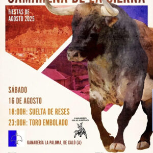 TOROS CAMARENA DE LA SIERRA 16 AGOSTO 2025