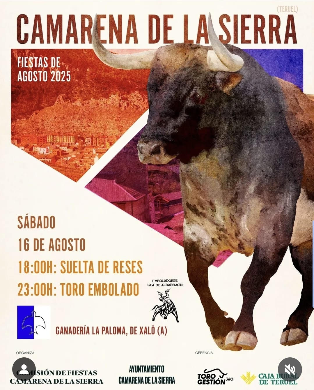TOROS CAMARENA DE LA SIERRA 16 AGOSTO 2025