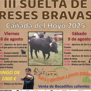 TOROS CAÑADA DEL HOYO 8 Y 9 DE AGOSTO 2025
