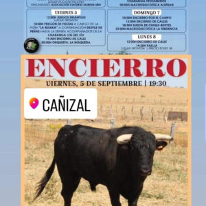 TOROS CANIZAL DEL 4 AL 8 DE SEPTIEMBRE 2025