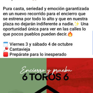 TOROS CANTAVIEJA 3 Y 4 OCTUBRE 2025