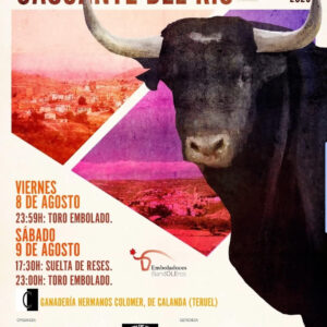 TOROS CASCANTE DEL RÍO 8 Y 9 DE AGOSTO 2025