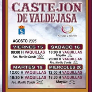 TOROS CASTEJON DE VALDEJASA 15 Y 16 DE AGOSTO 2025