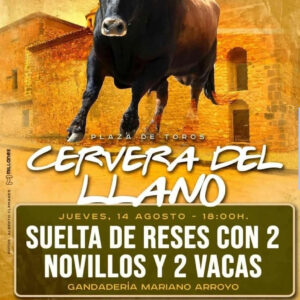 TOROS CERVERA DEL LLANO 14 AGOSTO 2025