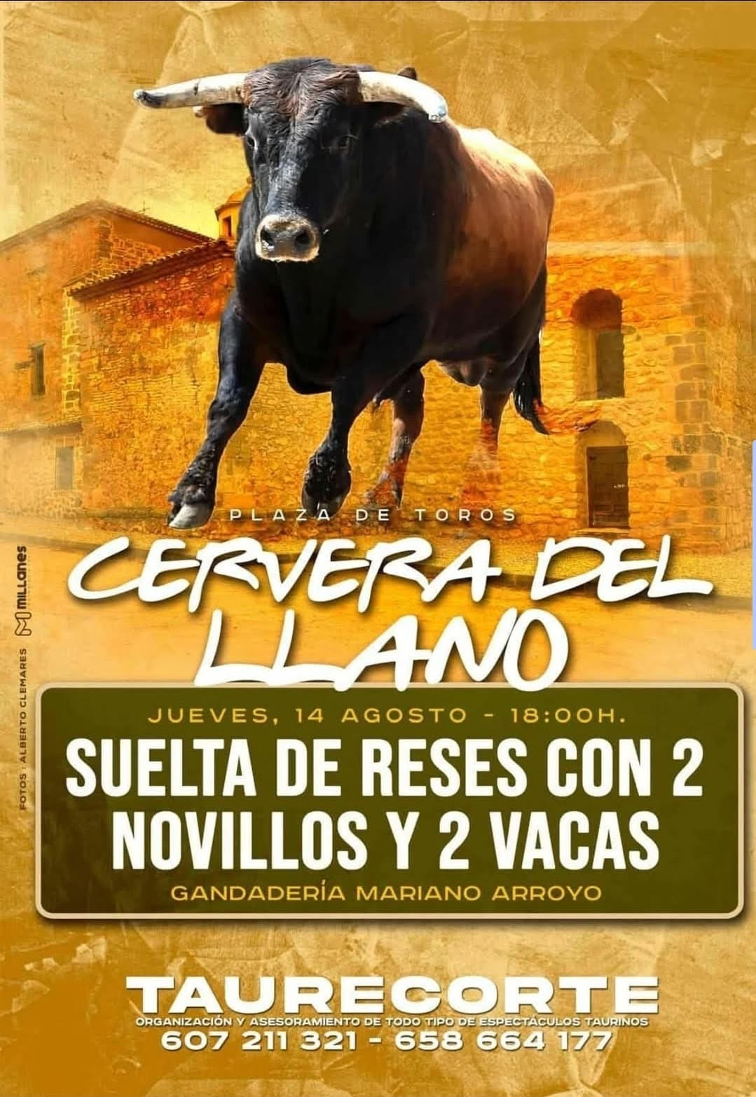 TOROS CERVERA DEL LLANO 14 AGOSTO 2025