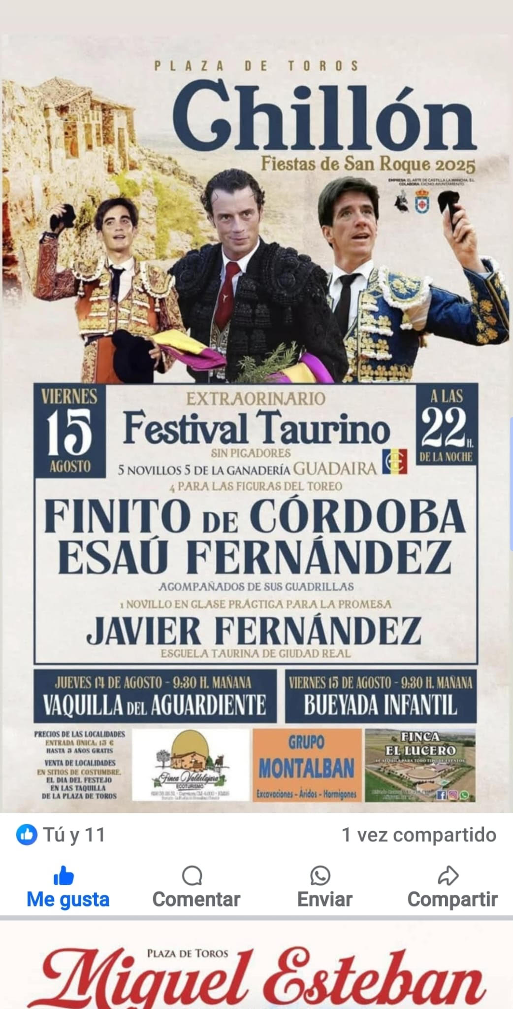 TOROS CHILLÓN 15 AGOSTO 2025