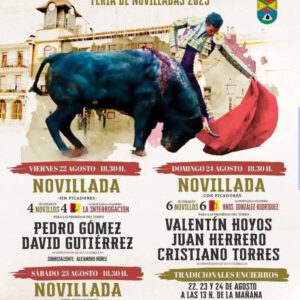 TOROS COLLADO DE MEDINA 21 Y 22 AGOSTO 2025"