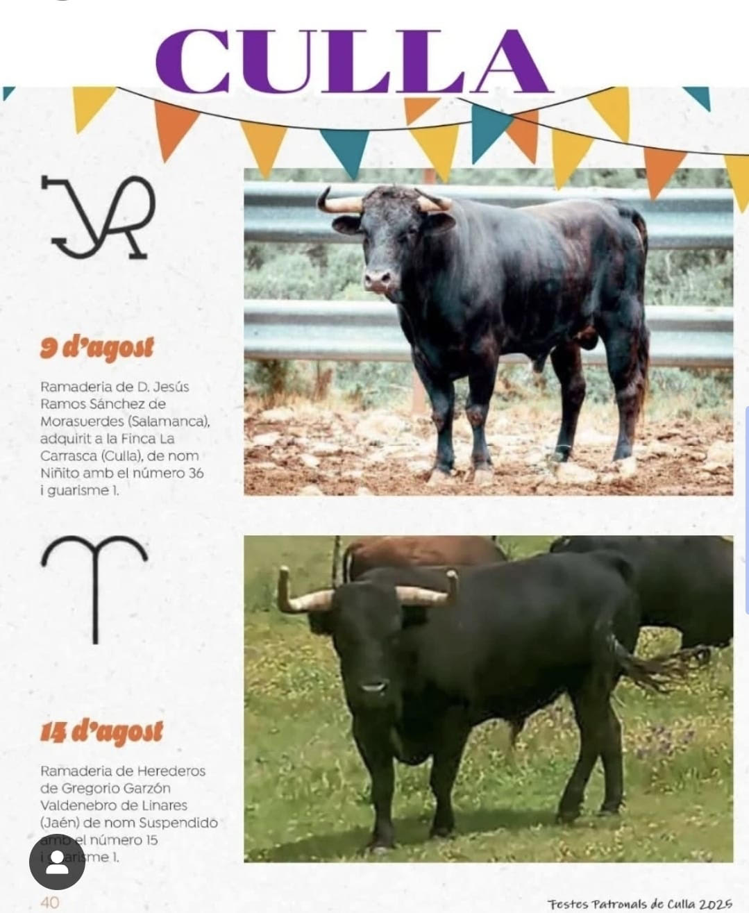 TOROS CULLA 9 AGOSTO 2025