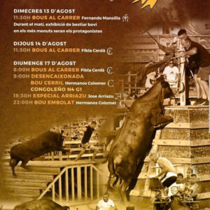 TOROS DELTEBRE 17 DE AGOSTO 2025