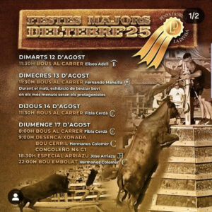 TOROS DELTEBRE DEL 12 AL 14 DE AGOSTO 2025