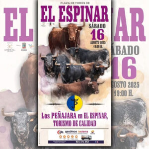 TOROS EL ESPINAR 16 AGOSTO 2025