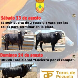 TOROS EL RECUENCO 23 AGOSTO 2025