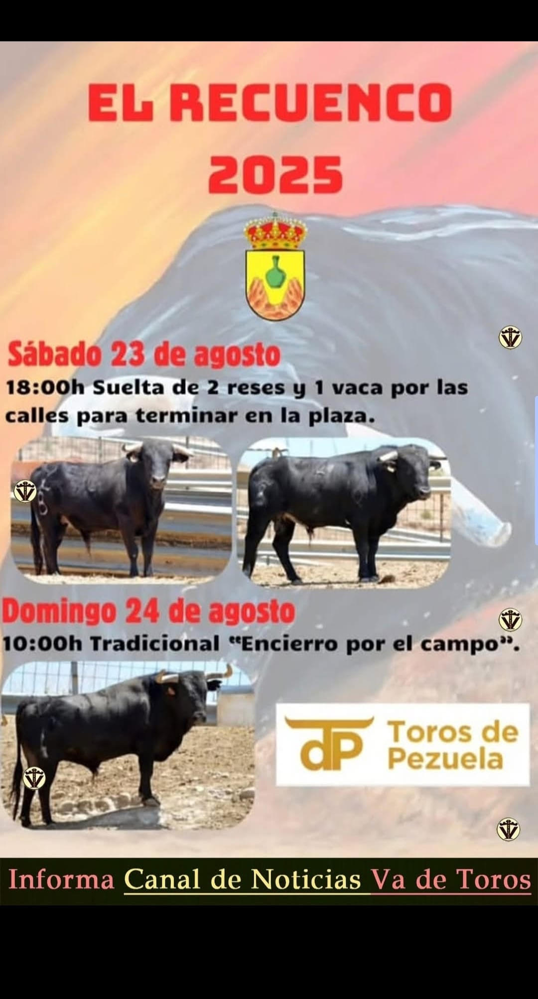 TOROS EL RECUENCO 23 AGOSTO 2025