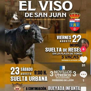 TOROS EL VISO DE SAN JUAN 22 Y 23 DE AGOSTO 2025