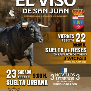TOROS EL VISO DE SAN JUAN 22 Y 23 DE AGOSTO 2025