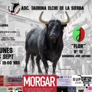 TOROS ELCHE DE LA SIERRA 15 SEPTIEMBRE 2025