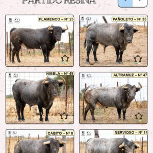 TOROS ENCIERRO VALL D ALBA 24 AGOSTO 2025