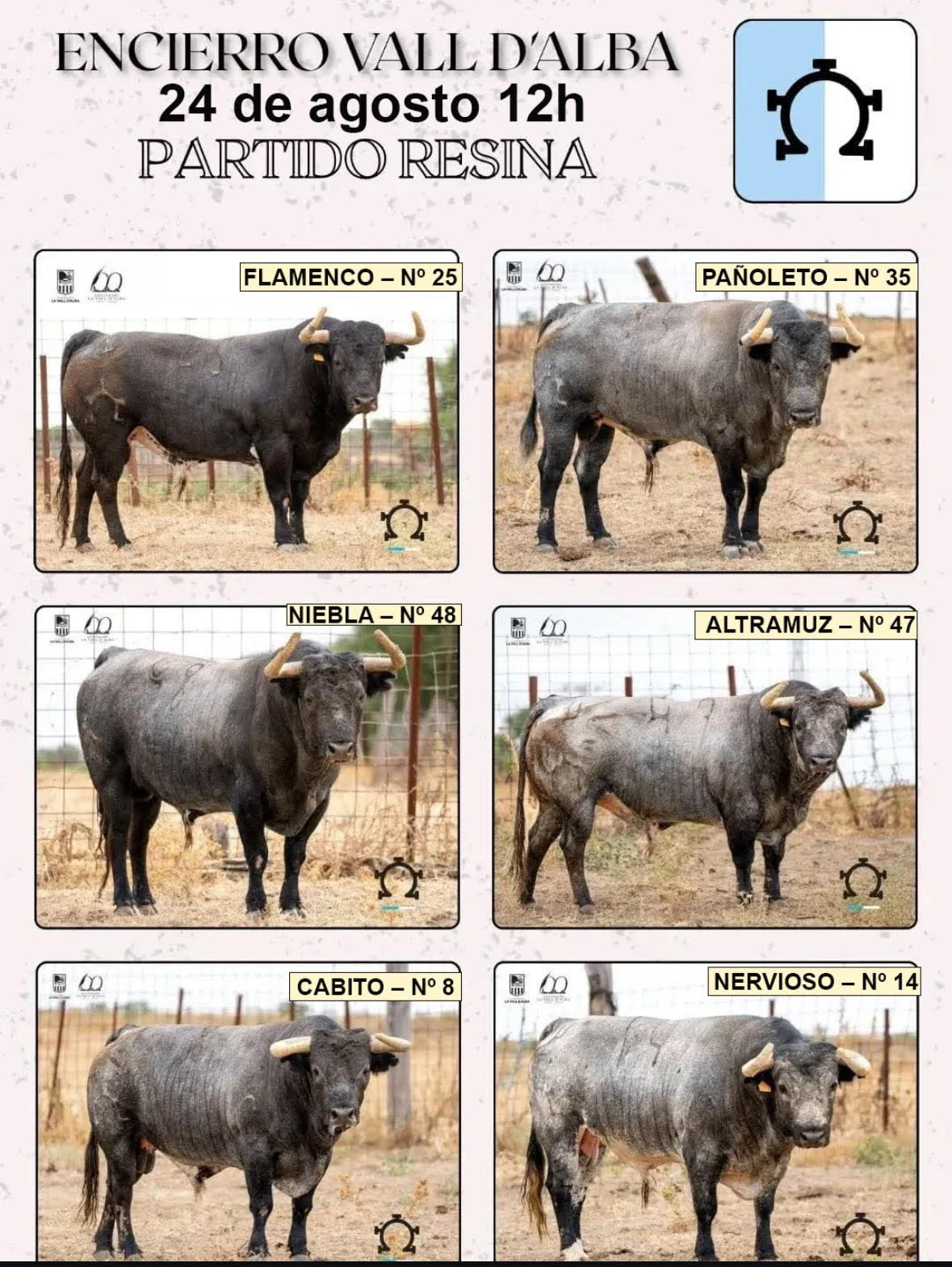 TOROS ENCIERRO VALL D ALBA 24 AGOSTO 2025