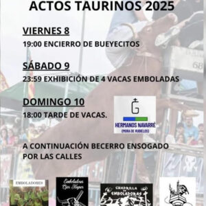 TOROS ESCORIGUELA DEL 8 AL 10 DE AGOSTO 2025