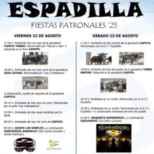 TOROS ESPADILLA 22 Y 23 AGOSTO 2025
