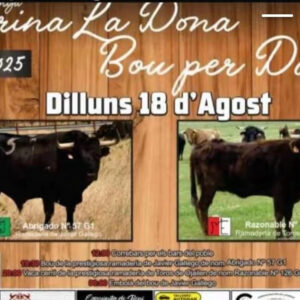 TOROS FAURA 18 AGOSTO 2025