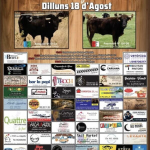 TOROS FAURA 18 AGOSTO 2025