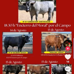 TOROS FONTANAR 16 AGOSTO 2025