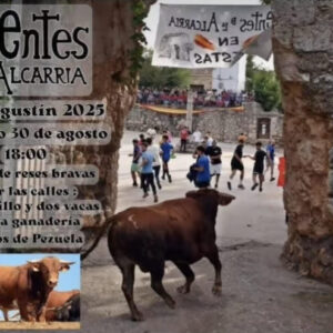 TOROS FUENTE DE LA ALCARRIA 30 AGOSTO 2025