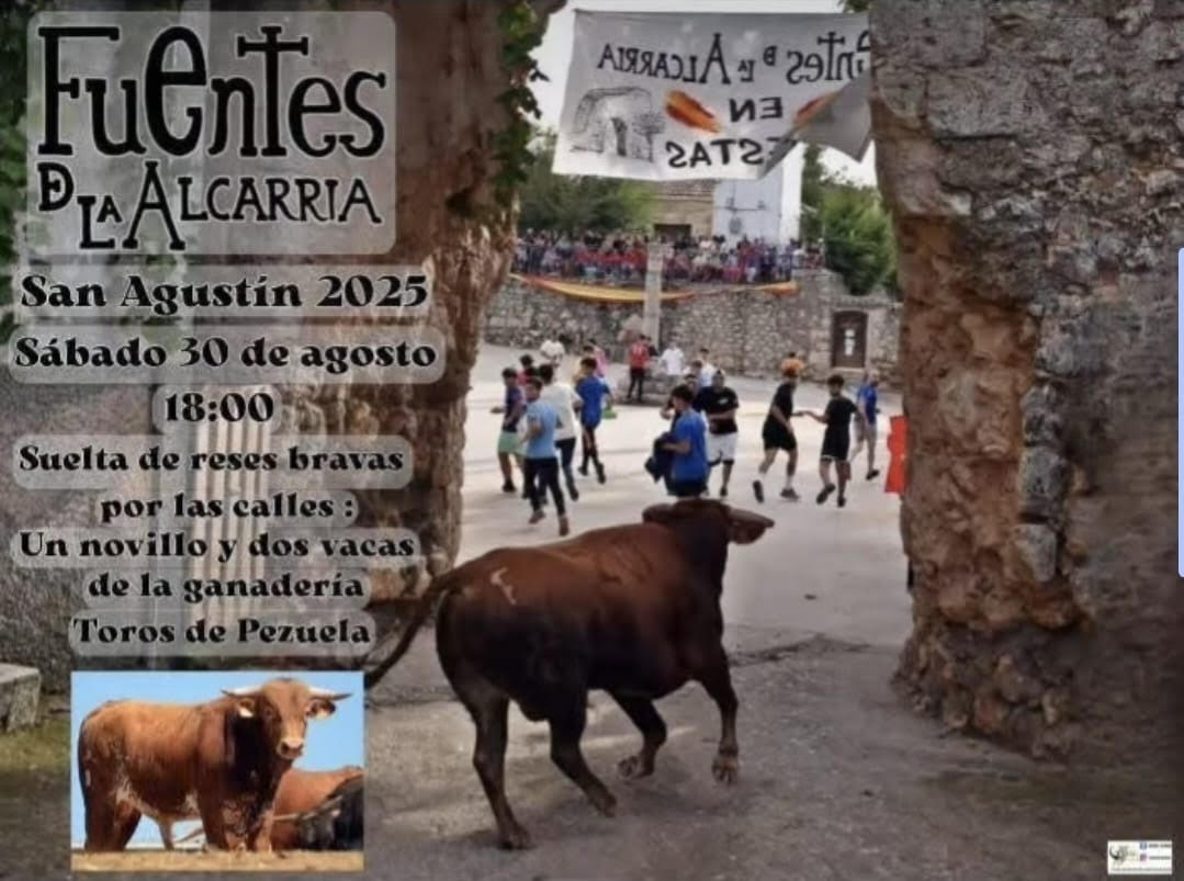 TOROS FUENTE DE LA ALCARRIA 30 AGOSTO 2025