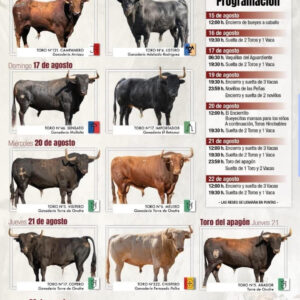 TOROS GARROVILLAS DE ALCONETAR DEL 15 AL 22 DE AGOSTO 2025