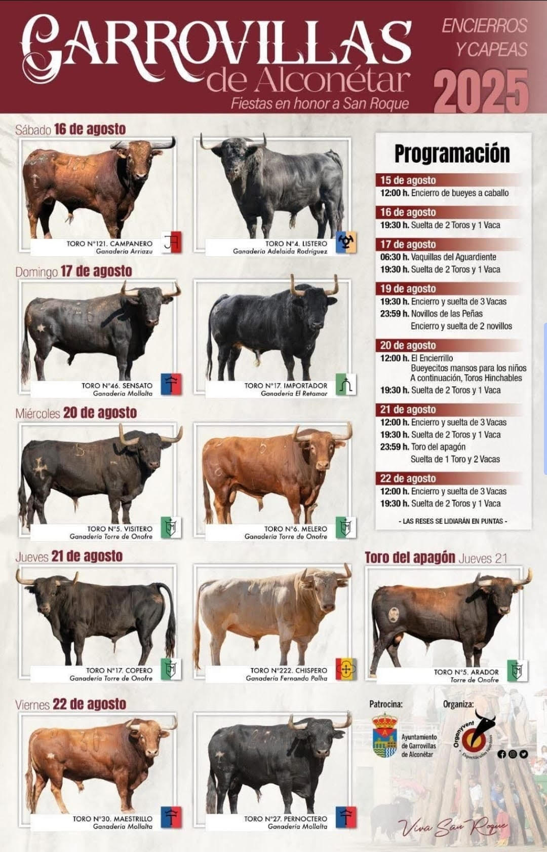TOROS GARROVILLAS DE ALCONETAR DEL 15 AL 22 DE AGOSTO 2025
