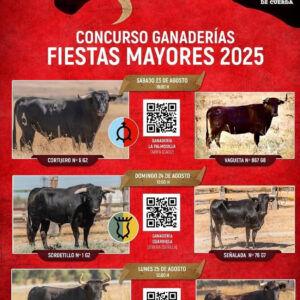 TOROS GRAZALEMA DEL 23 AL 25 DE AGOSTO 2025