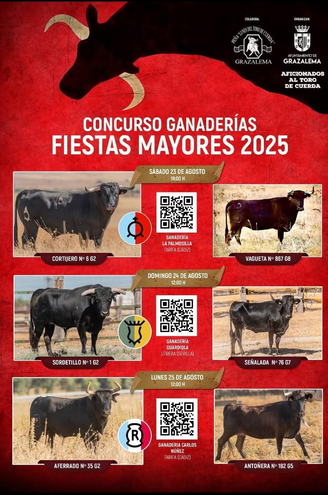 TOROS GRAZALEMA DEL 23 AL 25 DE AGOSTO 2025